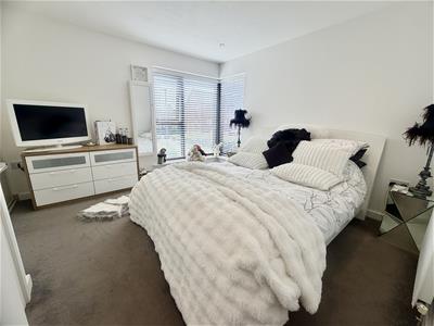 Picture 13